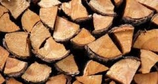 100 куб. м безплатни дърва за огрев са доставени на перничани
