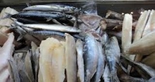БАБХ: 800 килограма замразена риба без документи за произход във Велико Търново