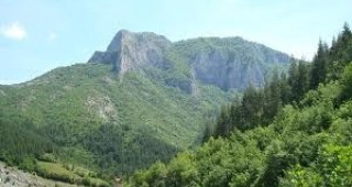 Бъдещето на вековните гори в България