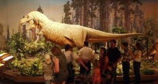 Откриха в британски музей останки от най-древния динозавър в света