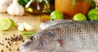 България е сред страните с ниска консумация на риба на глава от населението