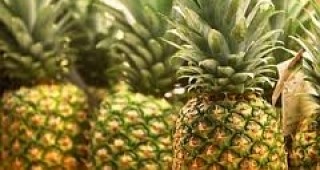 Австралийци създадоха ананас с аромат на… кокосов орех