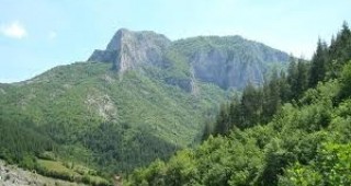 Вековните високостъблени гори на България обхващат площ от над 408 000 хектара