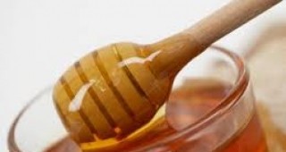 Качествата на българските мед и вино получиха висока оценка от посетителите на изложение в ЕП