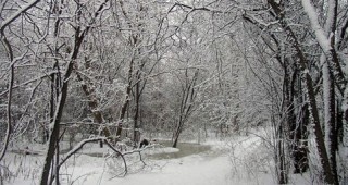 В северозападните райони и по високите полета на Западна България дъждът ще преминине в сняг