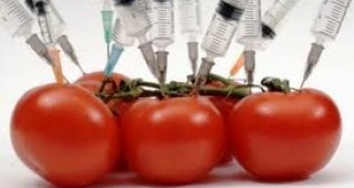 Великобритания: ГМО носи екологични ползи