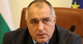 Директорът на Изпълнителната агенция по горите вероятно ще бъде уволнен от премиера Бойко Борисов