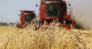 Financial Times: Аграрната индустрия на България е фокусирана върху зърното