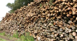 Община Перник ще получи 250 куб.м дърва за огрев за нуждаещите се жители