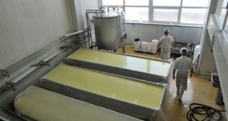В млекопреработвателните предприятия в Ловешка област няма да се произвеждат имитиращи продукти от растителна мазнина