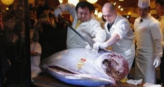 Риба тон за $1.7 милиона продадоха в Япония