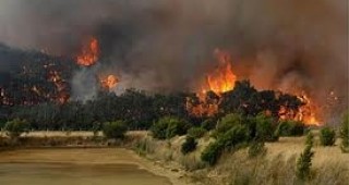 Над 100 горски пожара в райони на Югоизточна Австралия