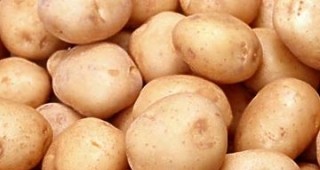 Празник на картофите