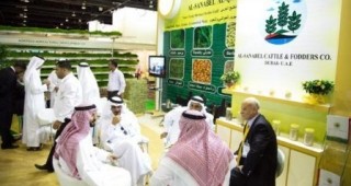 В Дубай ще се проведат изложения в областта на хранителната индустрия, селското стопанство и дървопреработването