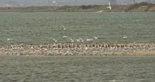 Жители на Поморие обвиниха природозащитници, че строят в защитено езеро без екооценка на проекта