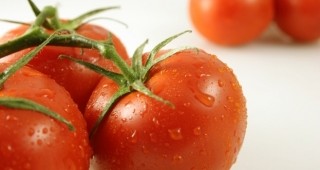 ДКСБТ: Изкупната цена на доматите е паднала за седмица с 60,5%