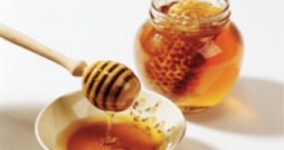Биологичният мед в Европа - 20 евро за килограм