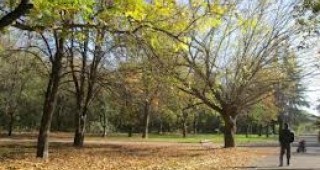 Комисия ще търси изход по казуса с парк Бедечка в Стара Загора