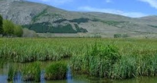 Световният ден на влажните зони ще бъде отбелязан във Велико Търново