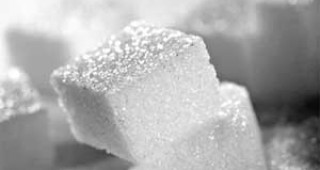 Леко понижение в цените на бялата кристална захар отчитат от ДКСБТ