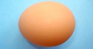 Продължава продажбата на яйца на открито на казанлъшкия пазар