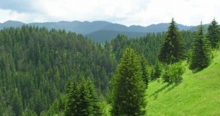 Коалиция За да остане природа в България иска оставката на Нона Караджова и Евдокия Манева