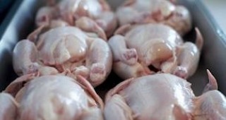 Днес изтича гратисният период, в който търговците могат да продават пилешко месо с повече вода