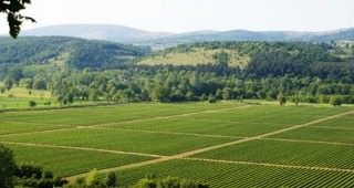 Китай възнамерява да инвестира в система за напояване на земеделски земи в България