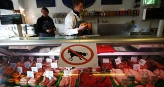 В продуктите на три месопреработвателни предприятия в Полша е установено наличие на конско месо, обявено за говеждо