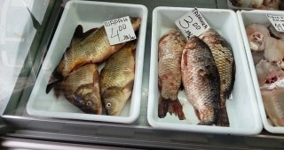 Мобилна група на ИАРА е иззела 55 кг незаконна риба от търговски обекти в Бургас