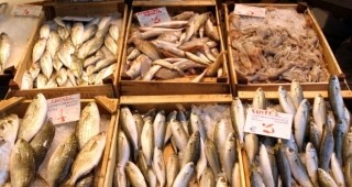 БАБХ: На българския пазар не се търгува радиоактивна риба