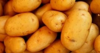Страната ни има сериозен проблем с производството на картофи