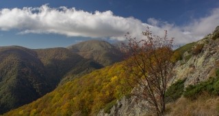 Семинари по горските мерки от ПРСР в Плачковци и Полски Тръмбеш