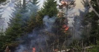 Подписват договори за финансова помощ за борба с горските пожари и наводненията