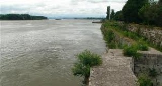 С повече от половин метър се повиши нивото на река Дунав в началото на българския участък