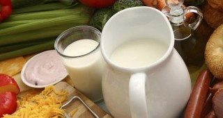 Изследват мляко от видинска ферма заради съмнение за повишена концентрация на афлатоксин