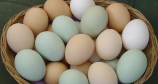 Гърците ще изядат около 300 млн. яйца по Великден