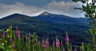 Природозащитни организации в България отбелязват първия четвърт век от своето създаване