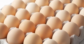 Без изменение остават средните цени на яйцата