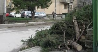 Днес е крайният срок, в който се приемат искания за възстановителна помощ на засегнатите от бурята в Габрово