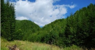 ДФЗ одобри 15 проекта по горските мерки 223 и 226 от ПРСР