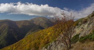 На семинари в Кресна, Белица и Хаджидимово ще бъдат представени горските мерки по ПРСР