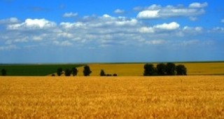 Учените от Селскостопанска академия разработиха визия за развитие на българската земеделска наука
