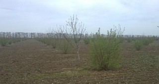 Община Кюстендил предоставя обработваема земя на социално слаби семейства