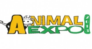 AgroExpo Eurasia § AnimalExpo - 2013