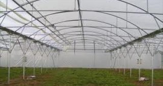 Сръбска фирма е заявила готовност да изгради 200 декара оранжерии в община Кубрат