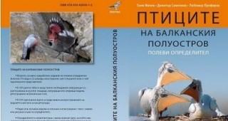 Излезе второто преработено издание на полевия определител Птиците на Балканския полуостров