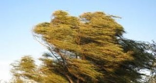 Жълт код за силен вятър е обявен за 7 области в страната