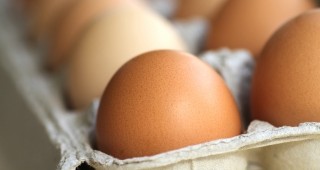 Леко понижение в средните цени на яйцата отчитат от ДКСБТ
