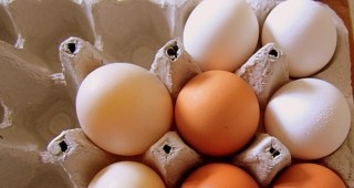 АЗПБ сигнализира отговорните институции за нередности на пазара на яйца